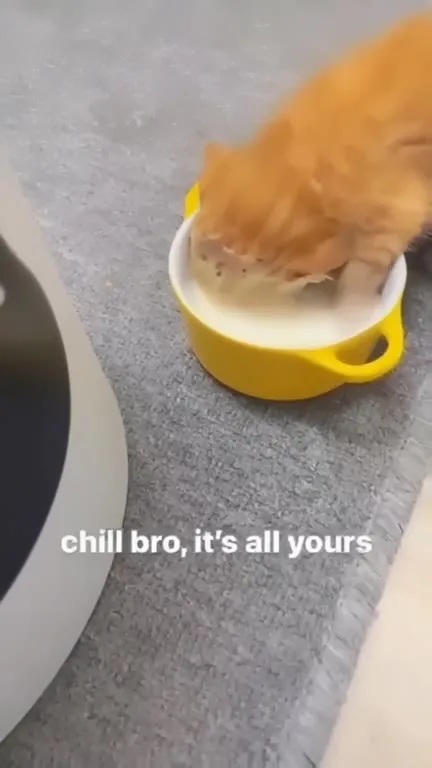 Chill Bro, It’s All Yours