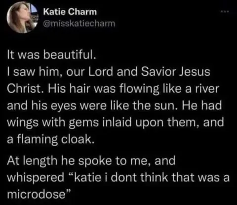 Jesus Says It Wasn't a Microdose