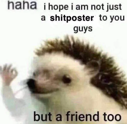 Hedgehog Wants To Be Your Friend