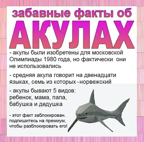 Забавные факты об акулах
