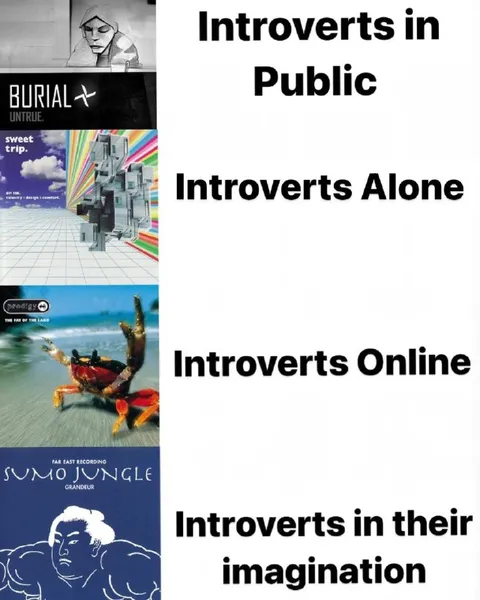 Introverts in Every Situation
