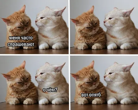 Меня часто спрашивают о чём?