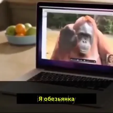 Обезьянка знакомится с мамой