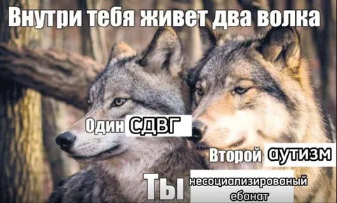 Внутри тебя живут два волка