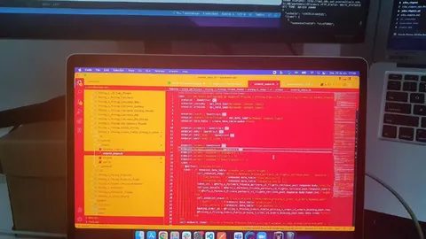 Red Screen of Code