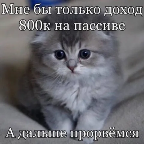 Пассивный доход 800к