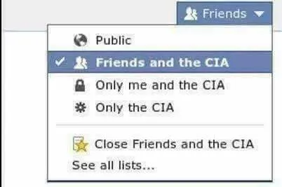 Friends and the CIA