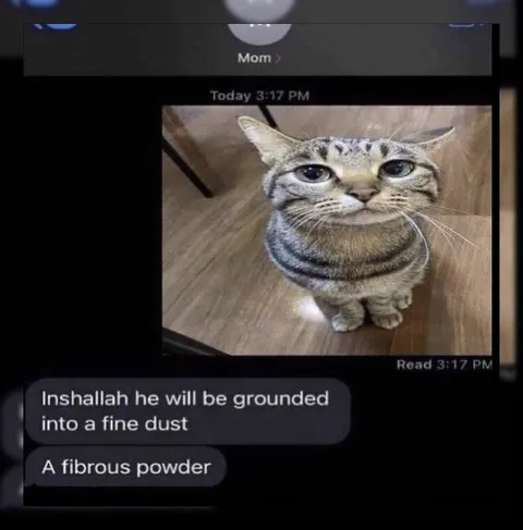 Mom Wants Him Grounded