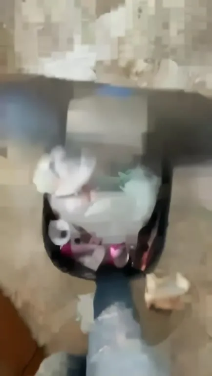 Кенгуру сбежал из пылесоса