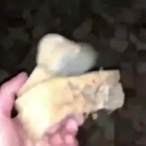 Таинственные камни под сонар