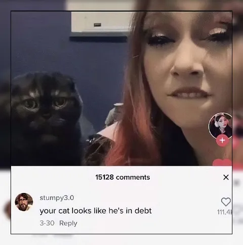 Cat Looks Like He's in Debt