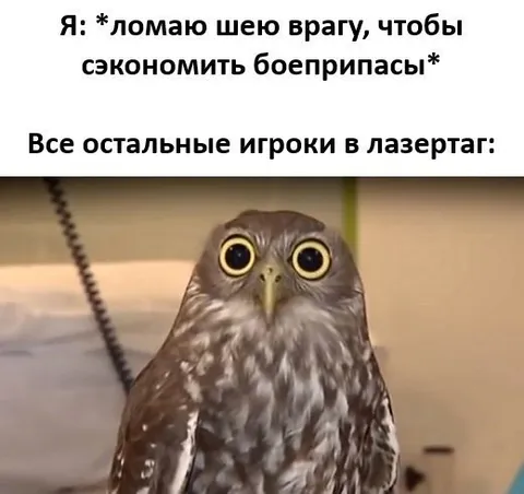 Все остальные игроки в лазертаг
