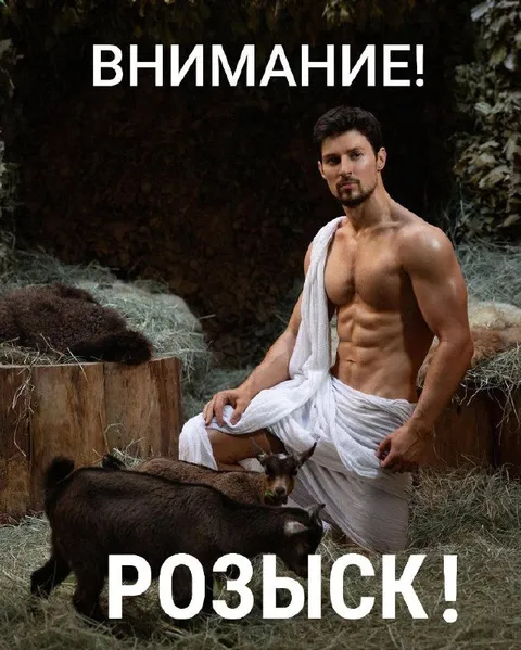 Внимание! Розыск козла