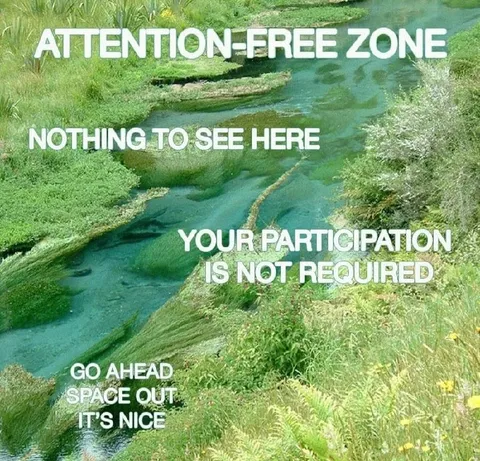 Attention-Free Zone River