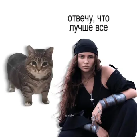 Кот выбирает лучшее