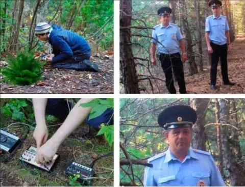 Подозрительный электрик в лесу