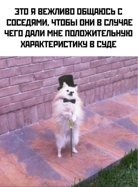 Вежливое общение с соседями