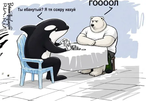 Косатка играет в покер с медведем