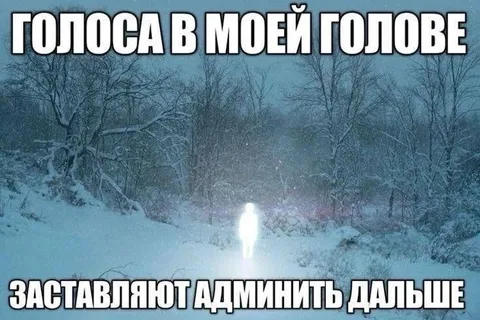 Голоса в моей голове админят дальше
