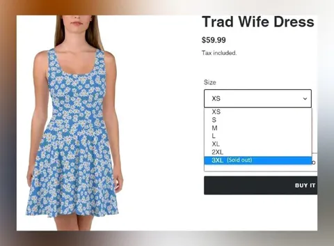 Trad Wife Dress 3XL Sold Out