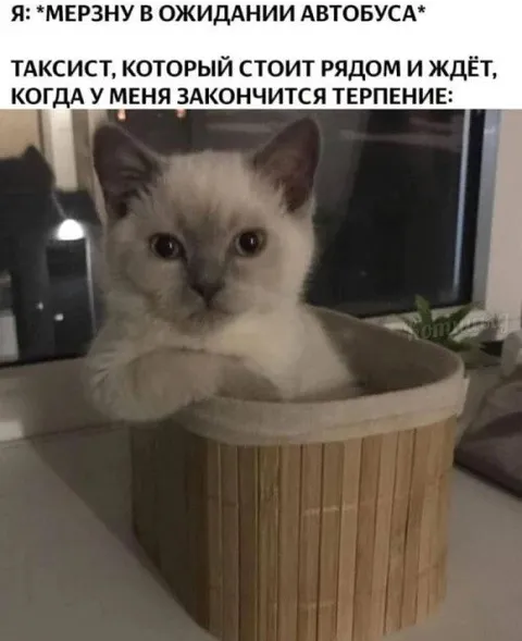 Таксист ждёт окончания терпения