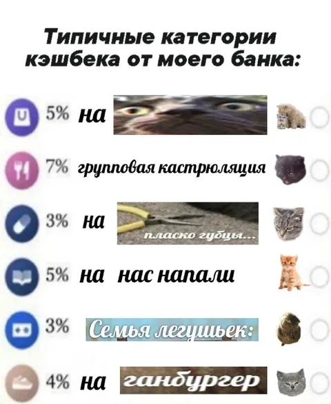 Типичные категории кэшбека от банка