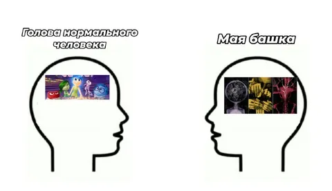 Голова нормального человека и моя башка