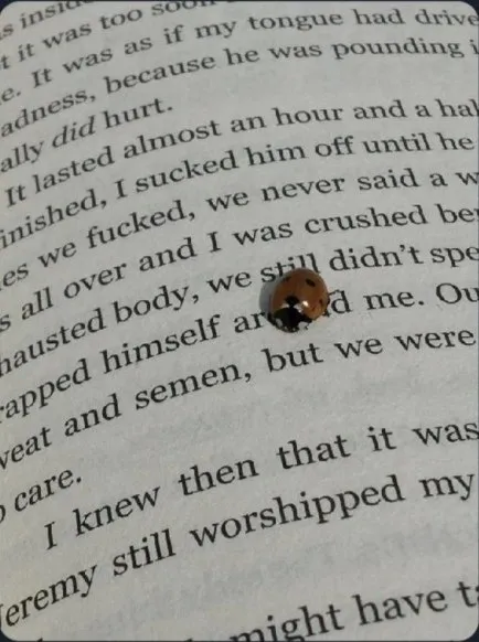 Ladybug on an Explicit Book Passage