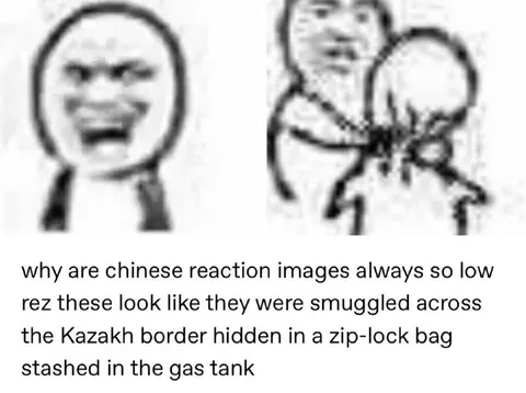 Low-Resolution Chinese Reaction Images