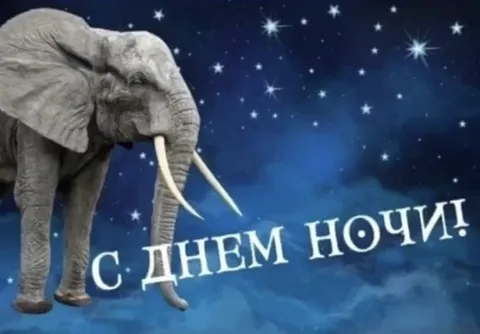 С днём ночи с слоном