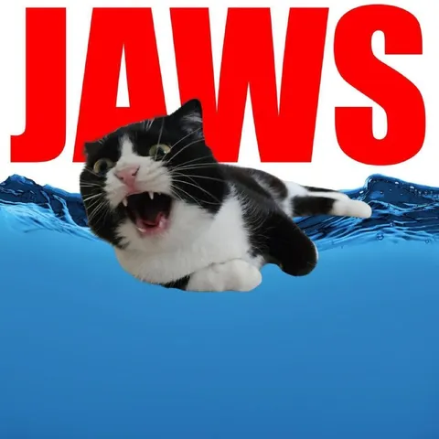 Cat in Jaws Water