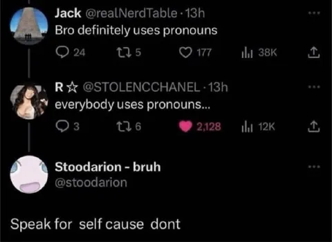 Everybody Uses Pronouns