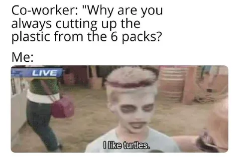 I Like Turtles Plastic Rings