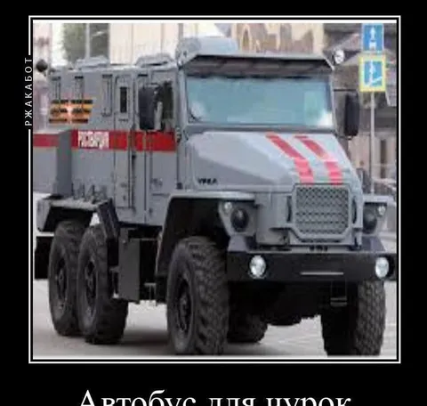 Автобус для курок