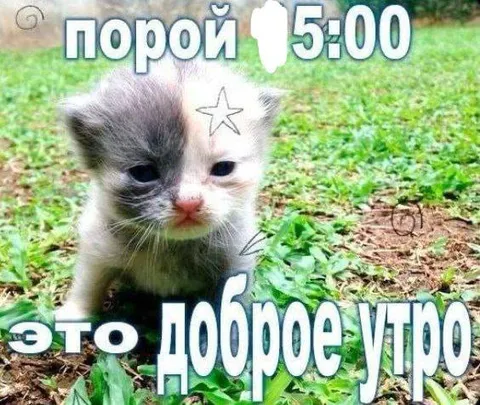 Порой это доброе утро