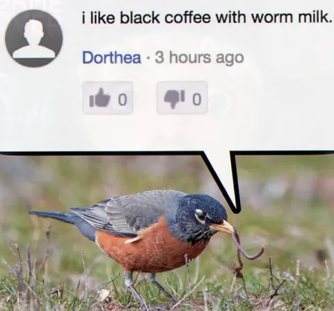 Black Coffee With Worm Milk