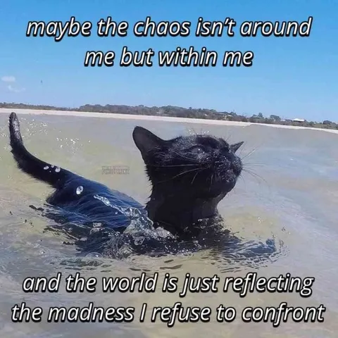 Cat Drowning in Inner Chaos