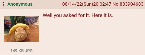 Well You Asked for It