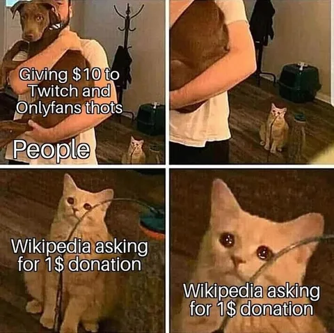 Wikipedia Asking for One Dollar