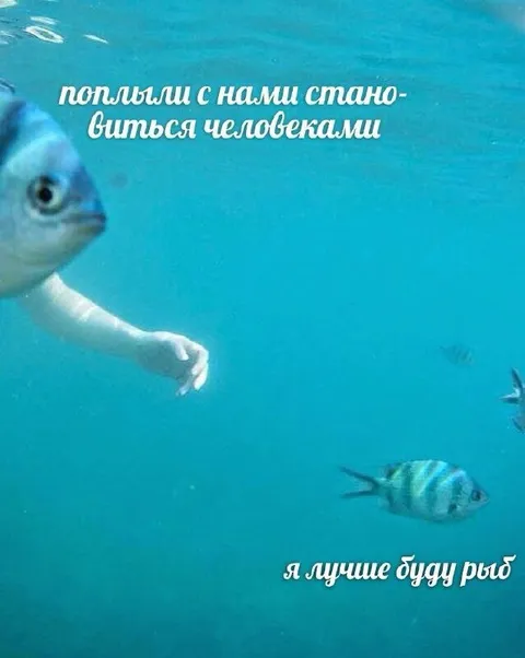 Лучше буду рыбой
