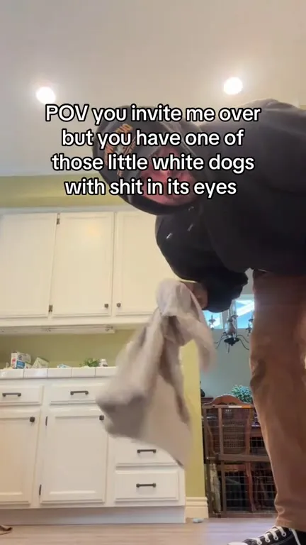 Tiny White Dog Eviction
