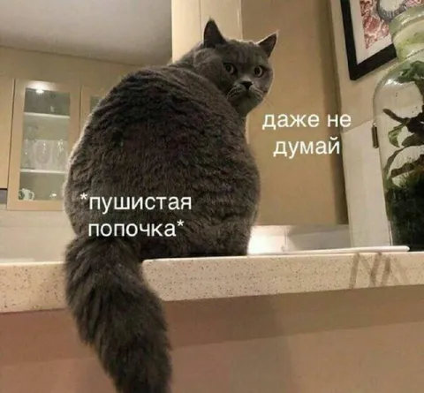 Пушистая попочка не трогать