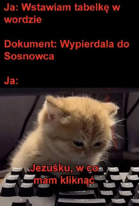 Kot nie umie kliknąć
