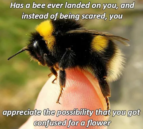 Bee Mistaken for a Flower