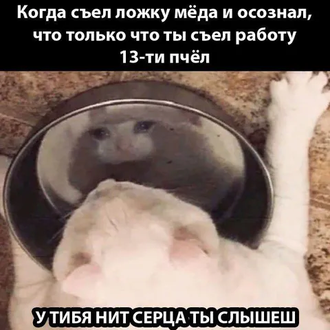 Съел работу тринадцати пчёл