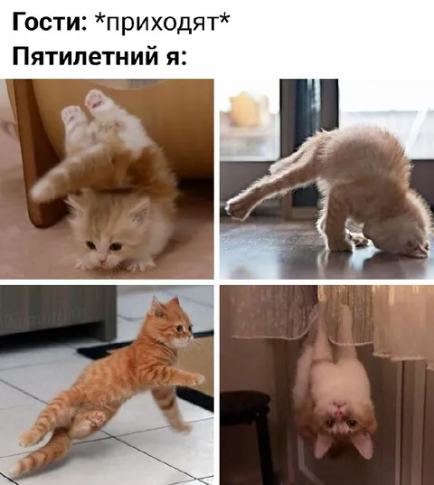 Пятилетний я встречает гостей