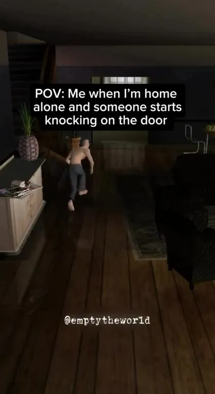 Home Alone Door Knock Panic