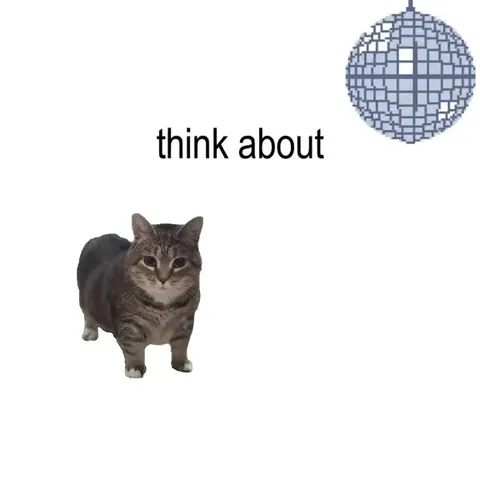 Cat Dancing to Nonsense Lyrics