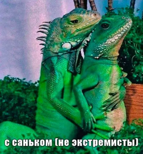 С Саньком не экстремисты