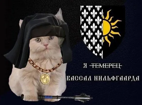 Кот — наследник Нильфгаарда